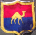 Camel Badge Provided by Sapper Dave